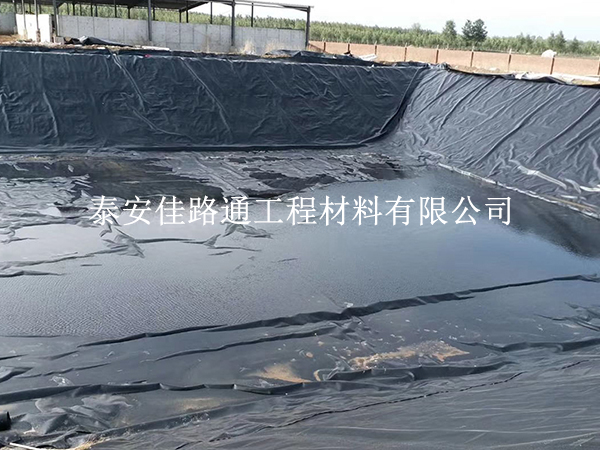 養殖防滲膜鋪設不當：隱患重重，影響深遠